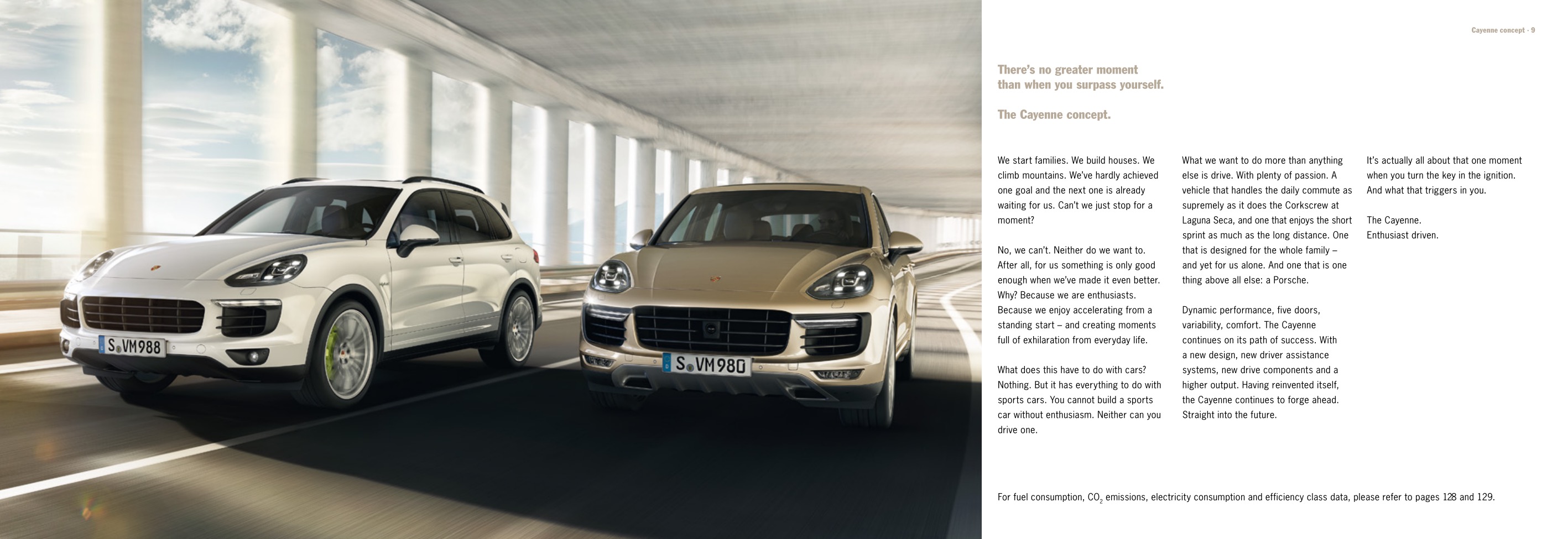 2015 Porsche Cayenne Brochure Page 49